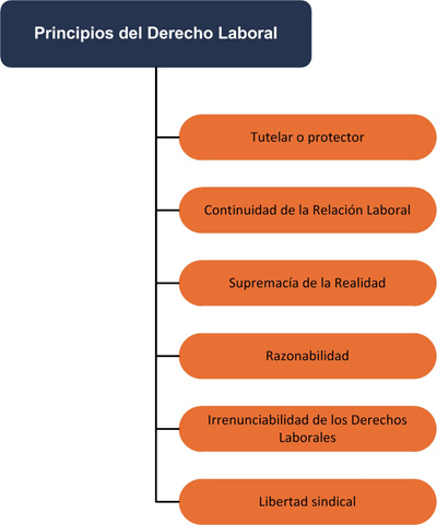 derecho laboral principios